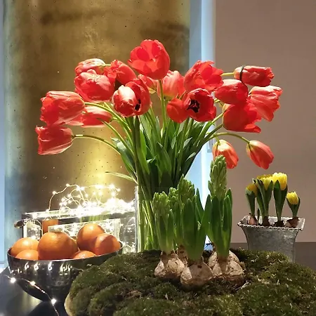 Πανσιόν La Cupola Del Vaticano Ρώμη